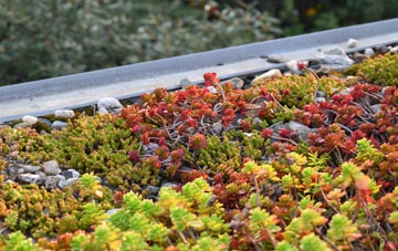 the cost of Cwm Twrch Uchaf green roof installation