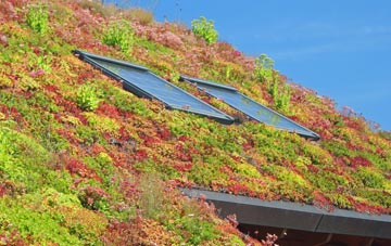 Cwm Twrch Uchaf living roof systems